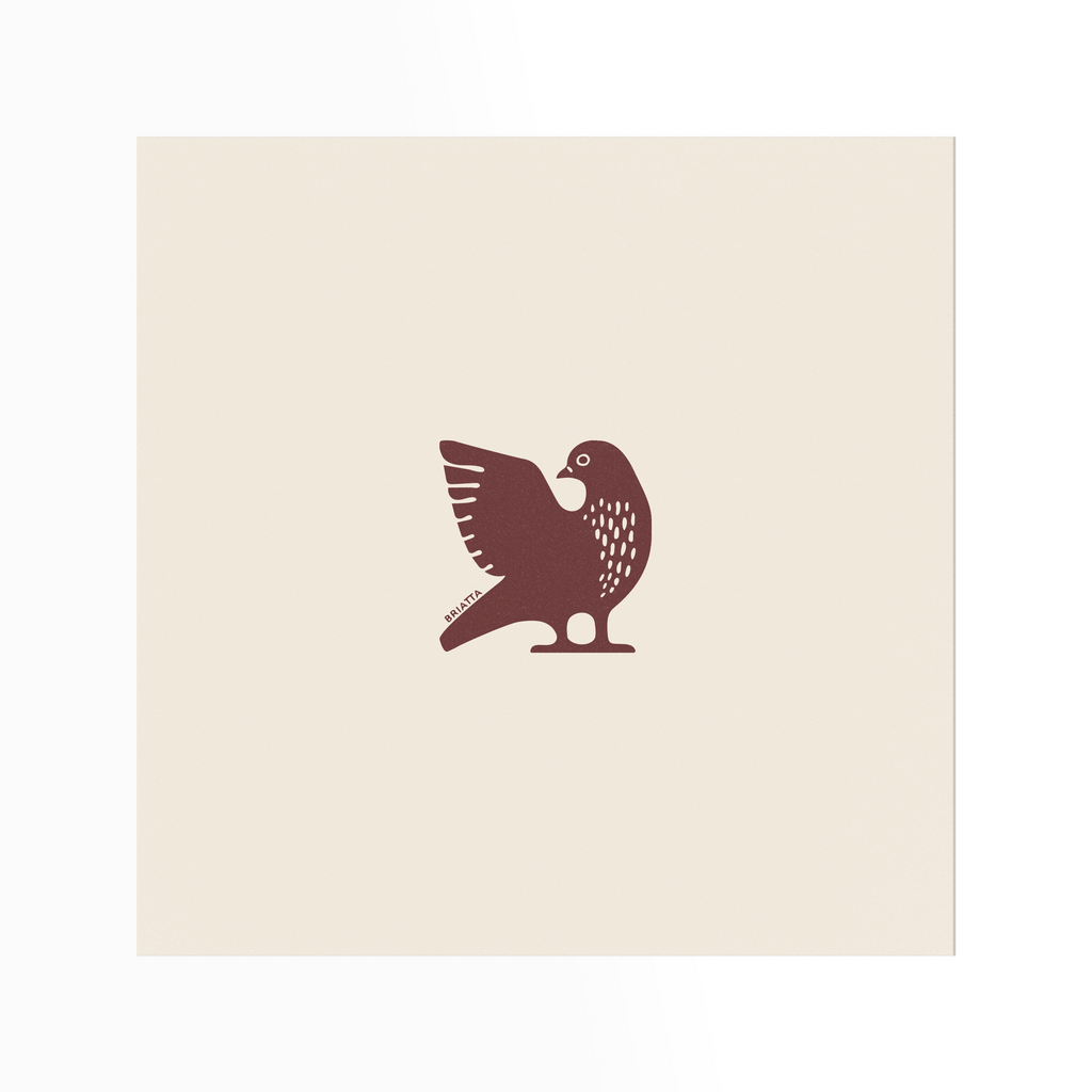 AFFICHE PARIS - PIGEON