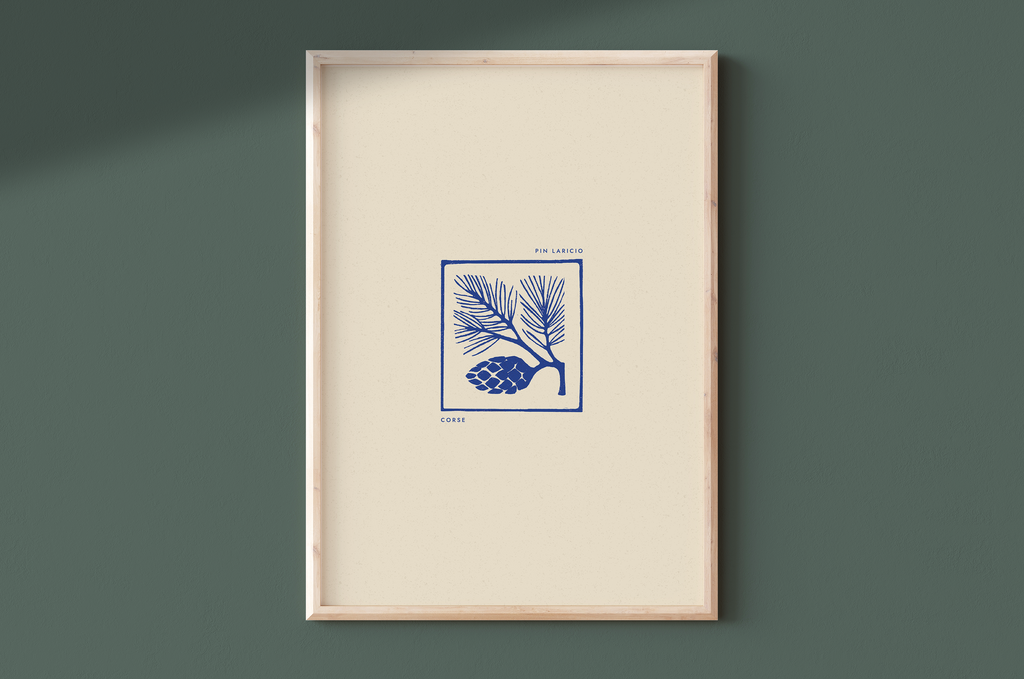 AFFICHE CORSE - PIN LARICIO